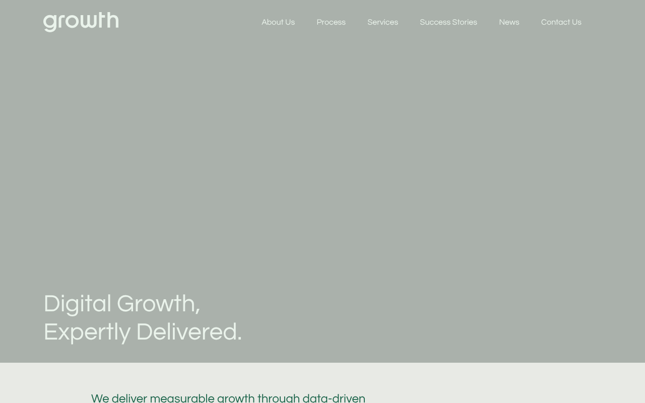 Growth Agency