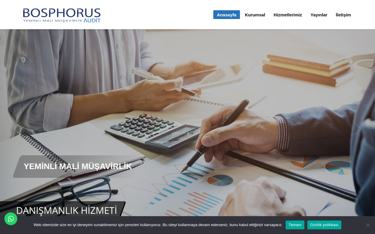 BOSPHORUS AUDIT YEMİNLİ MALİ MÜŞAVİRLİK LTD ŞTİ screenshot