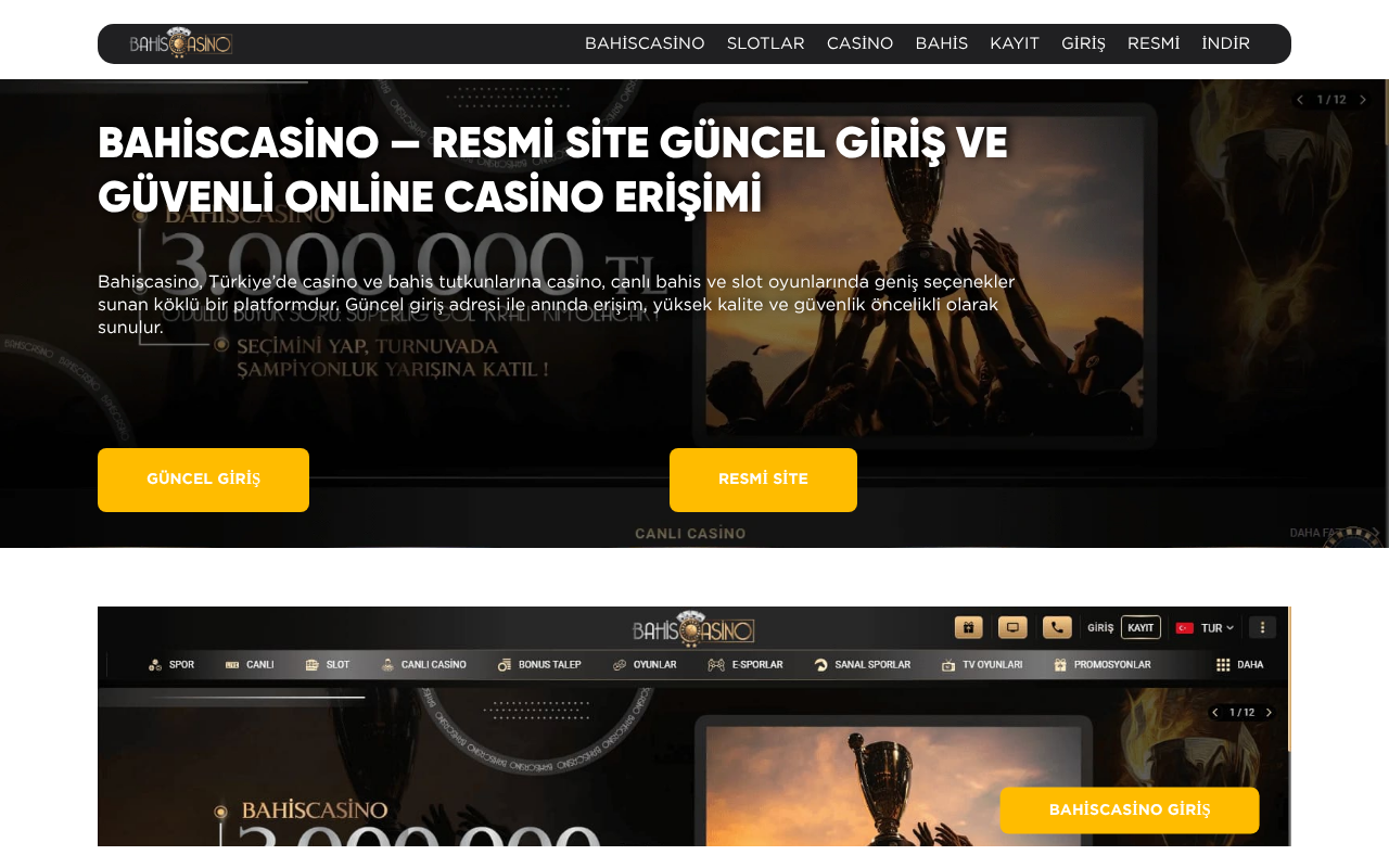 https://www.acildis.org/fatih-disci.html screenshot