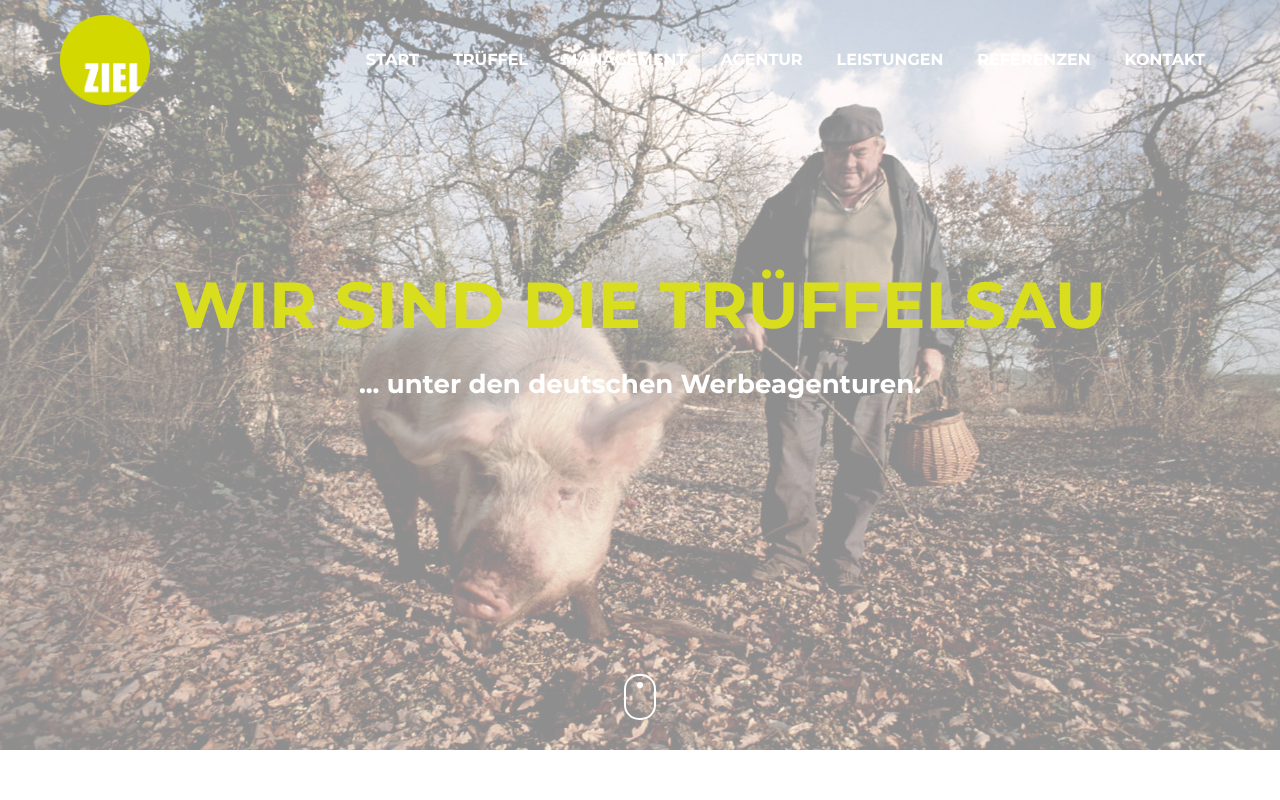 Ziel Werbeagentur GmbH screenshot