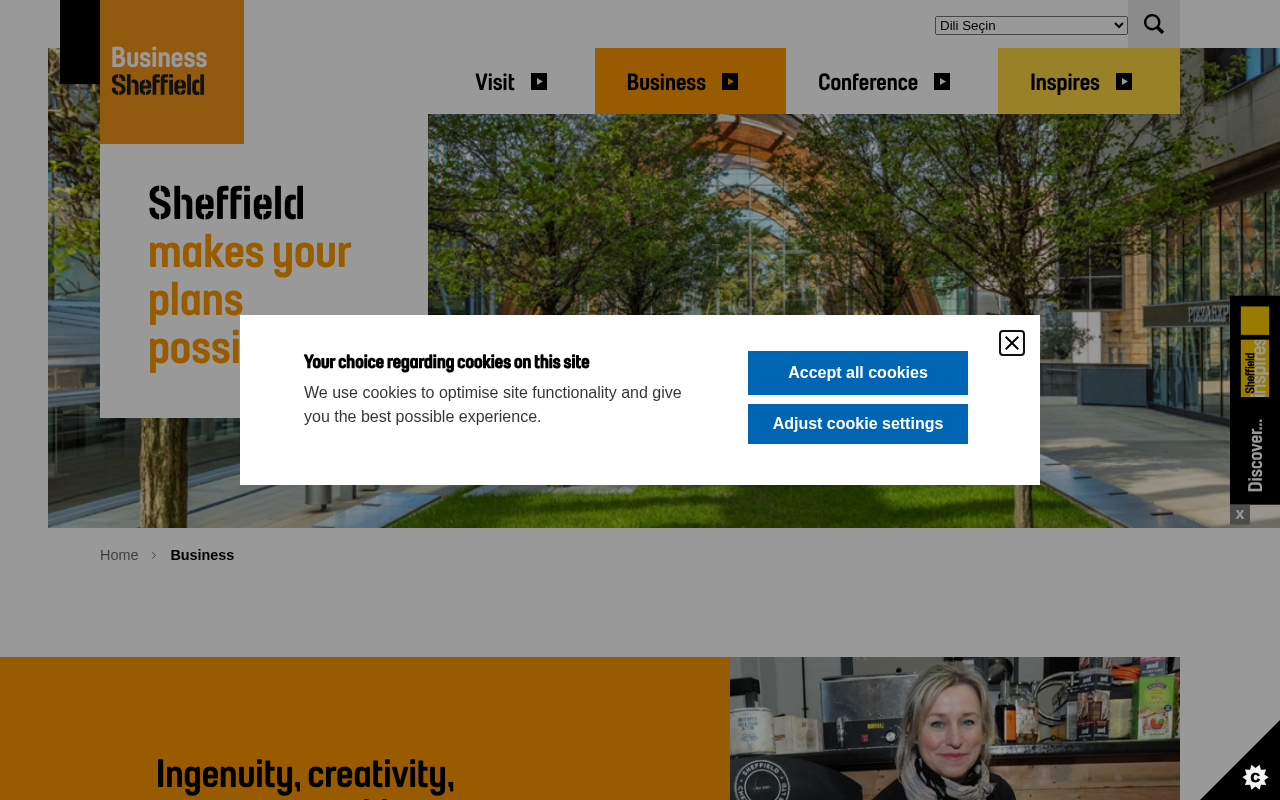 Creative Sheffield screenshot
