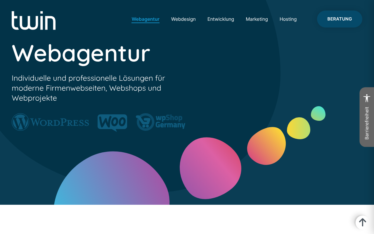 twin Webagentur GmbH screenshot