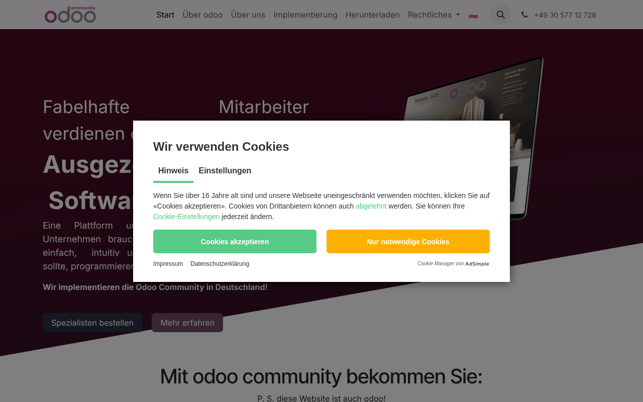 E-Commerce Agentur screenshot