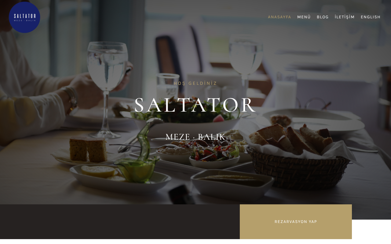 Saltator screenshot