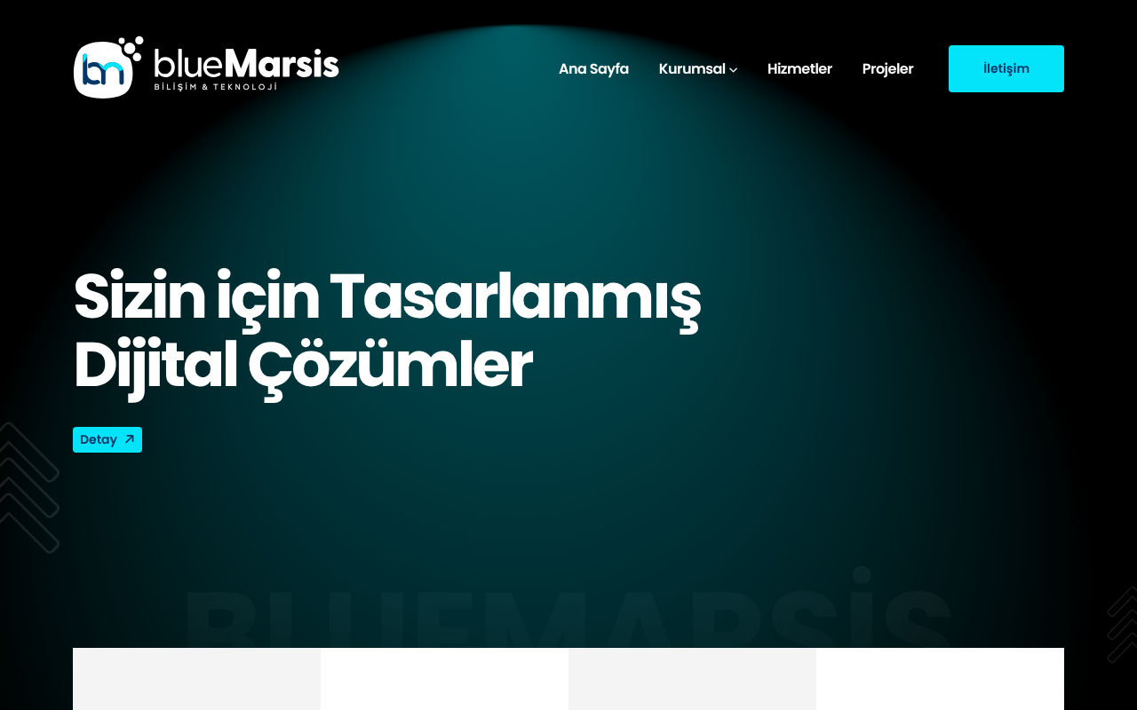 blueMarsis Teknoloji screenshot