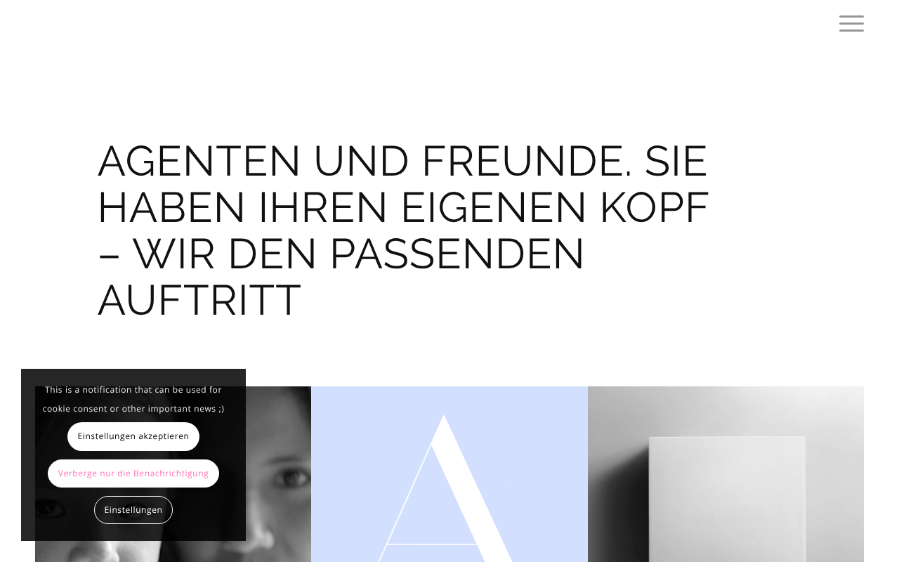 agenten und freunde werbeagentur KG screenshot