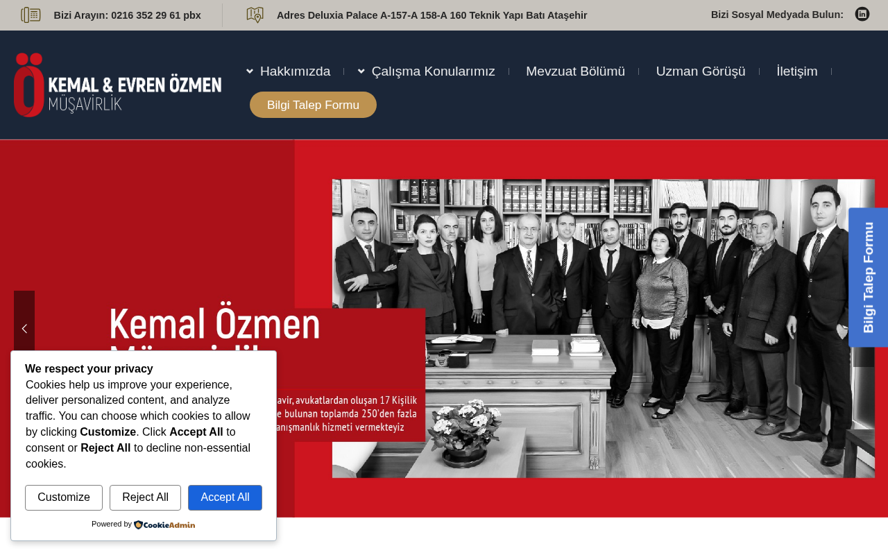 Özmen Mali Müşavirlik screenshot