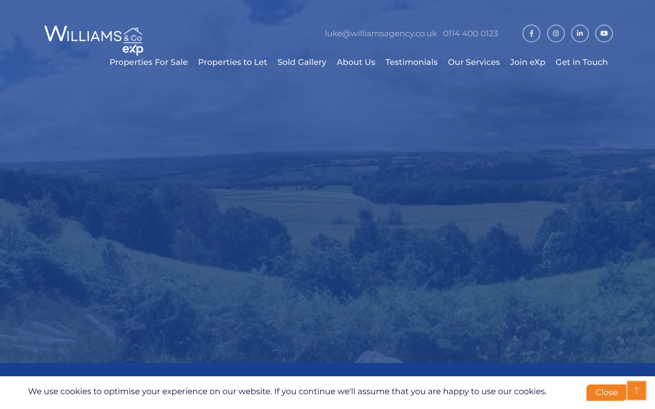 Williams & Co - Estate Agents in Sheffield screenshot